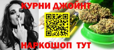 сатива Будённовск