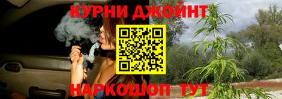 сатива Будённовск