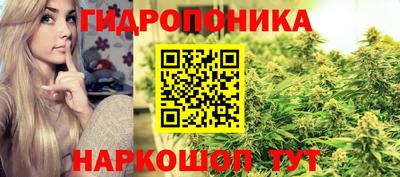 сатива Будённовск