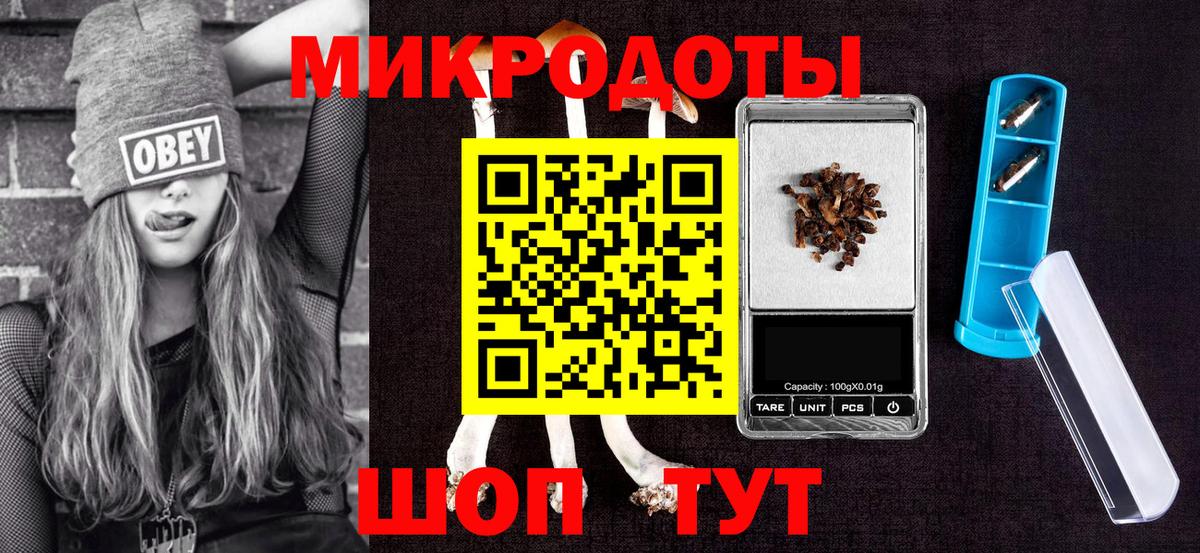 Галлюциногенные грибы мухоморы Геленджик